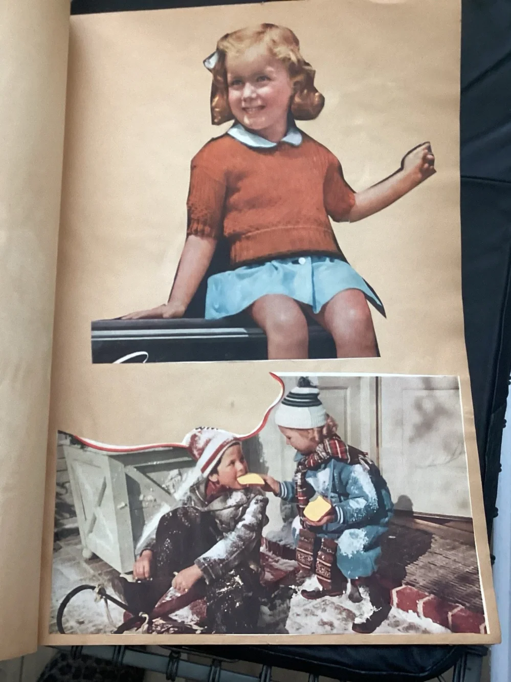 Antique published in 1929 SCRAPBOOK with animal Illustrations